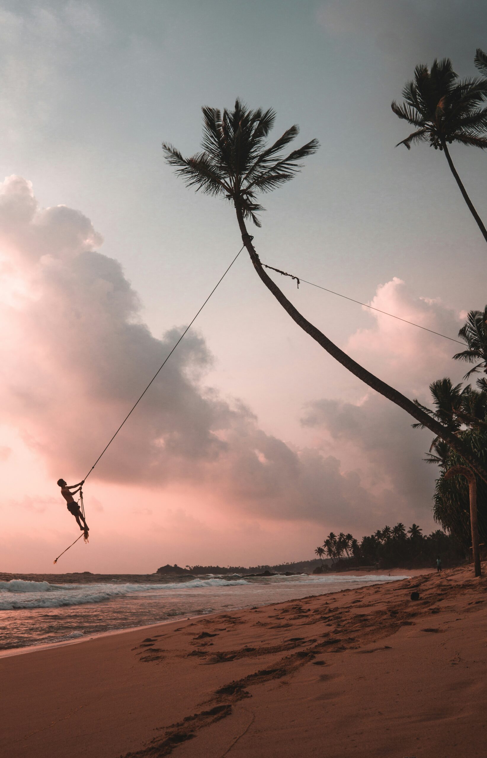 Beach swing