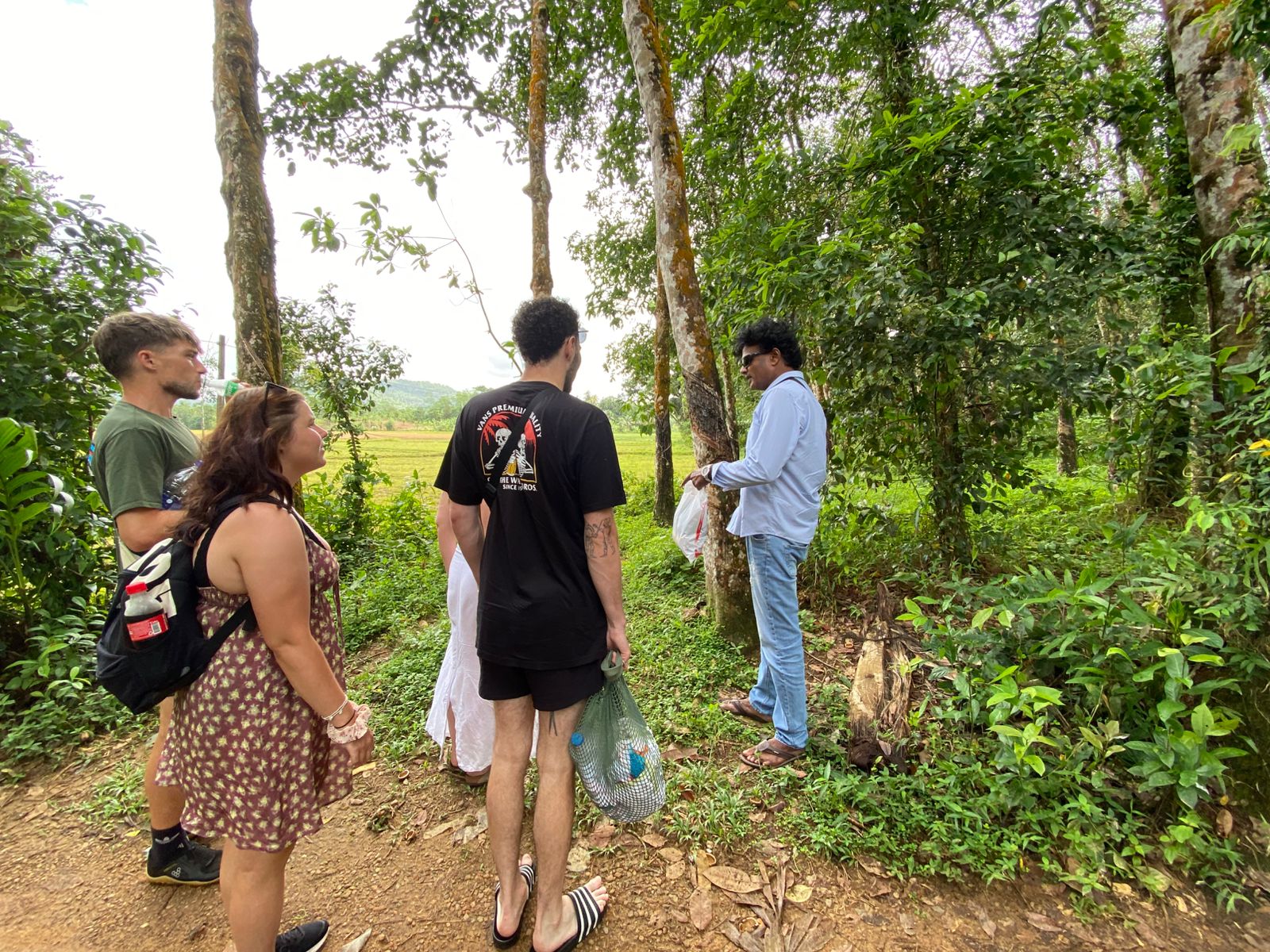 Guide with travellers rubber plantation